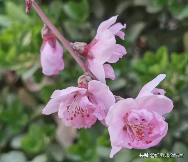 优秀的议论文800字范文，高一议论文作文优秀范文800字