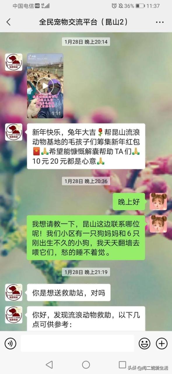 八上优秀作文600字，生日惊喜作文600字初中