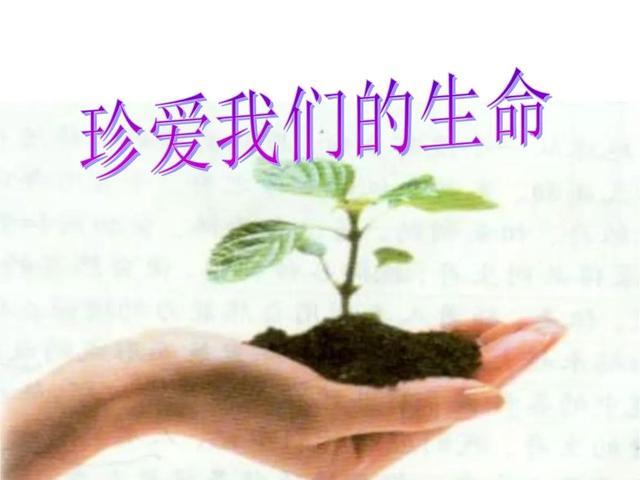 珍爱生命的名言名句，珍爱生命的名言名句有哪些
