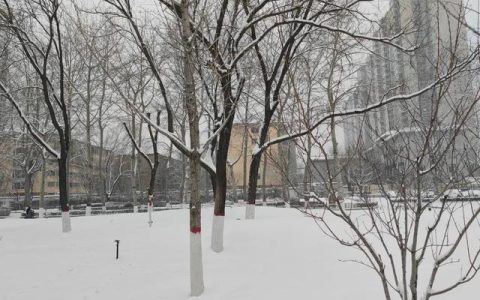 雪景作文300字，雪景作文300字左右三年级