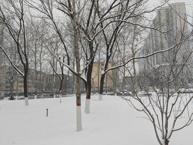 雪景作文300字，雪景作文300字左右三年级