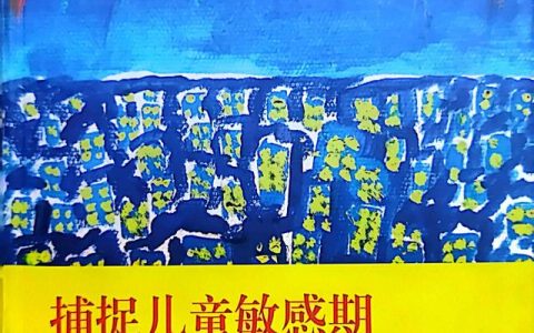 再次学习《捕捉儿童敏感期》之感
