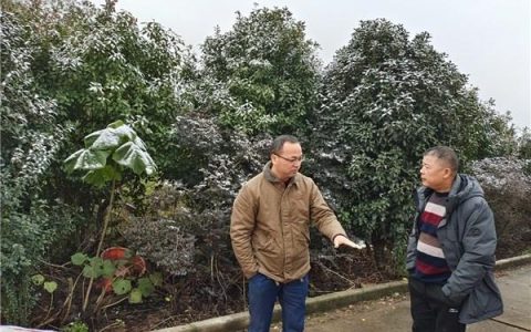 质监站是什么单位，质监站是公务员吗