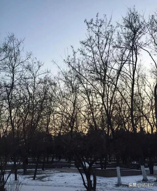 一棵树五个杈,不长叶子不开花，一棵树五只杈不长叶子不开花要吃要穿全靠它谜底
