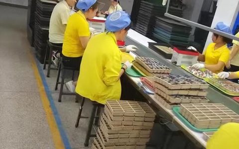 一位厂姐的故事