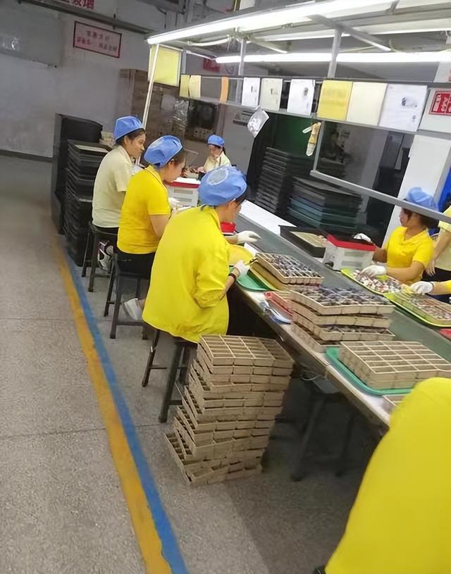 一位厂姐的故事