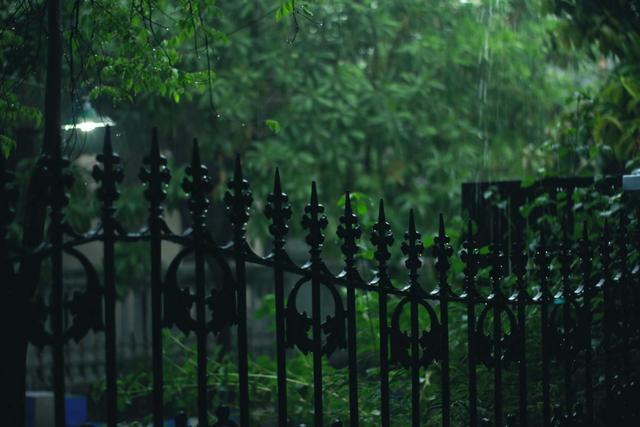 余秋雨的散文《雨》，雨作文500字左右