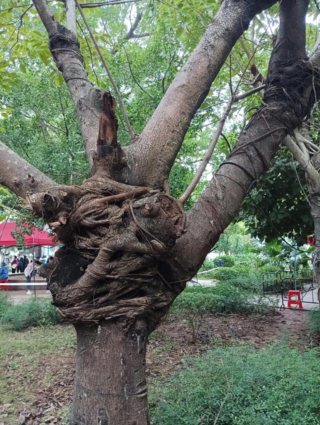 依旧的近义词，依旧的近义词是什么