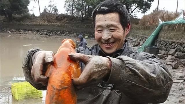 抓小鱼的游戏，抓鱼游戏