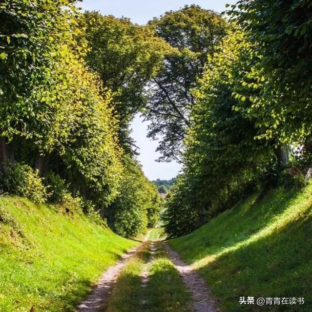 谢谢的谢的笔顺笔画，谢谢的笔顺怎样写