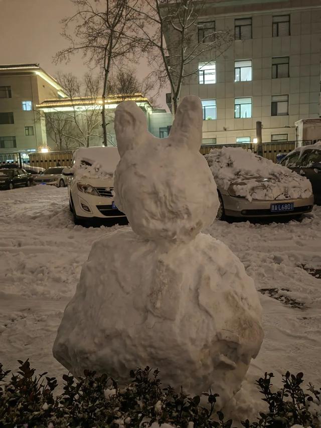雪景作文300字，雪景作文300字左右三年级