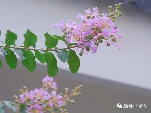 优秀散文名篇，朱自清优秀散文名篇