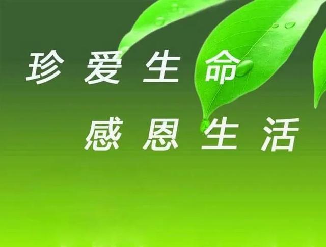 珍爱生命的名言名句，珍爱生命的名言名句有哪些