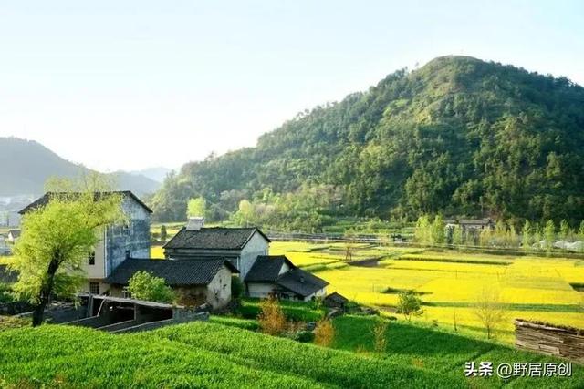 心情散文随笔人生感悟,心情散文随笔心情