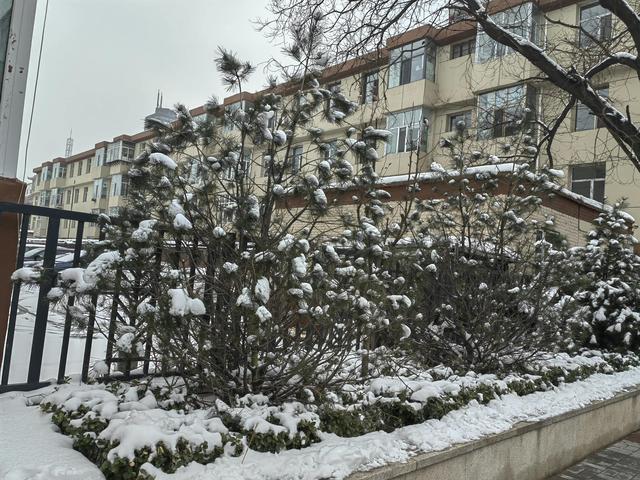 雪景作文300字，雪景作文300字左右三年级