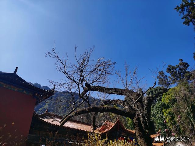 八百标兵奔北坡绕口令，行行行行行行行绕口令完整版