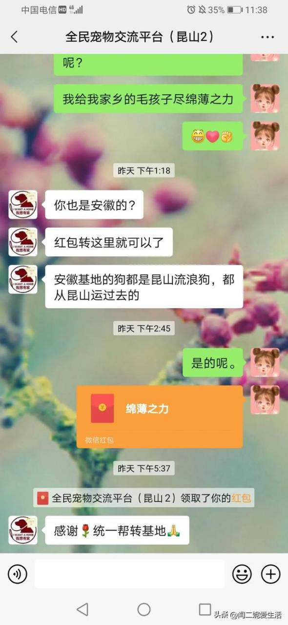 八上优秀作文600字，生日惊喜作文600字初中