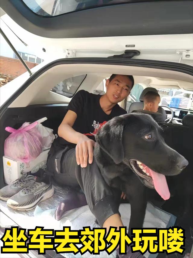 抖音狗狗文案最火，家有萌宠的文案怎么写好