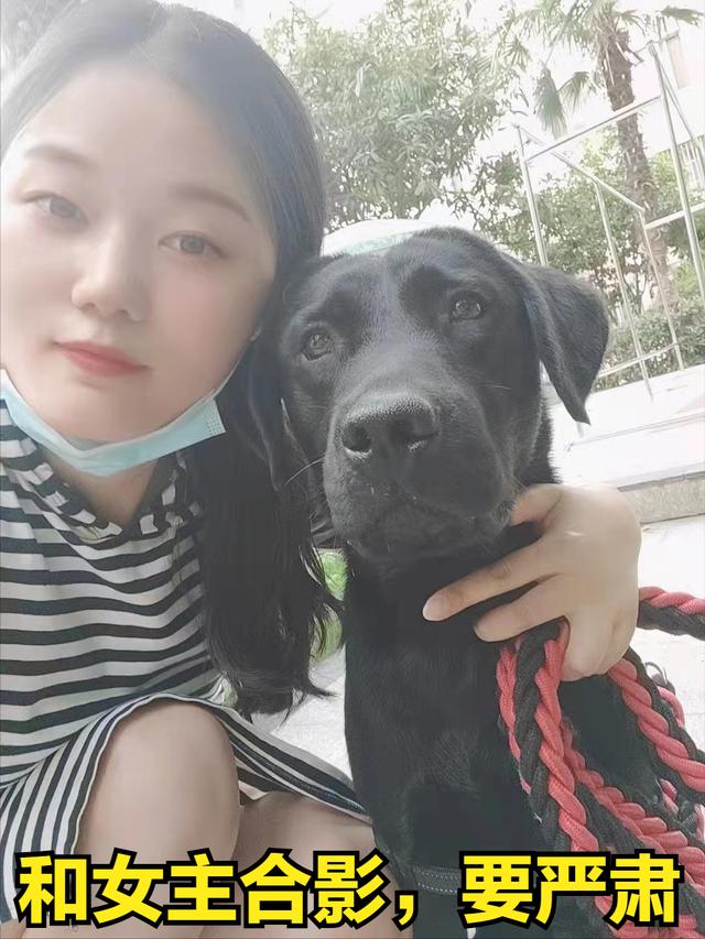 抖音狗狗文案最火，家有萌宠的文案怎么写好