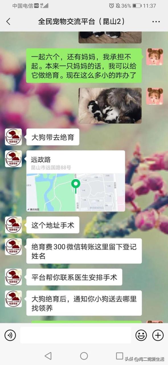 八上优秀作文600字，生日惊喜作文600字初中