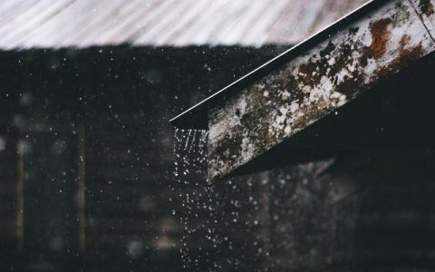 余秋雨的散文《雨》，雨作文500字左右