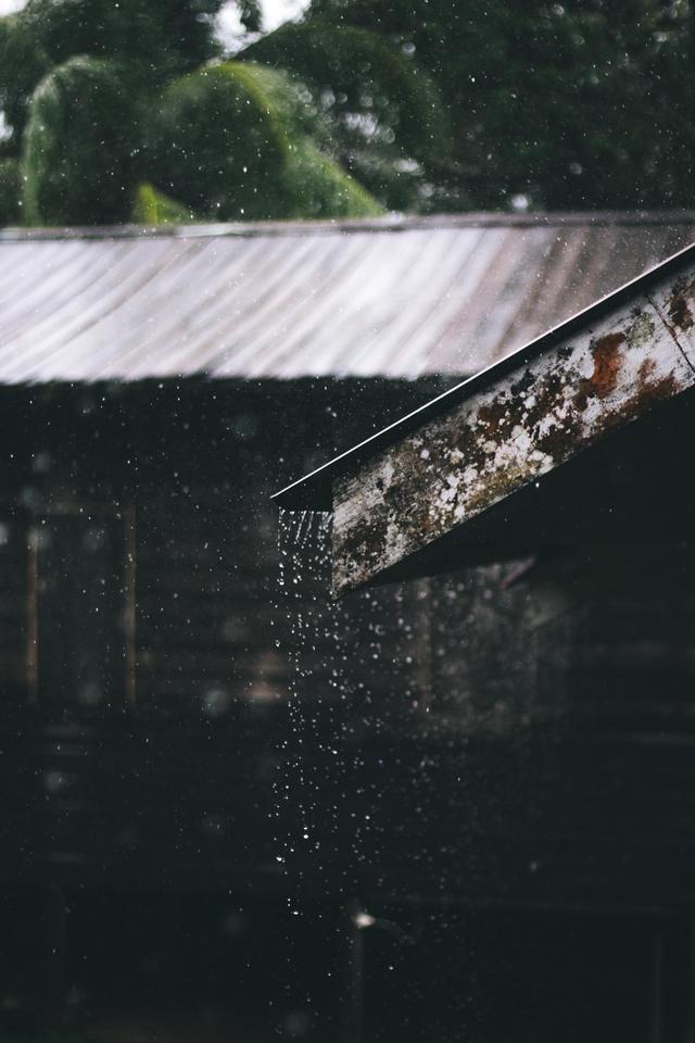 余秋雨的散文《雨》，雨作文500字左右