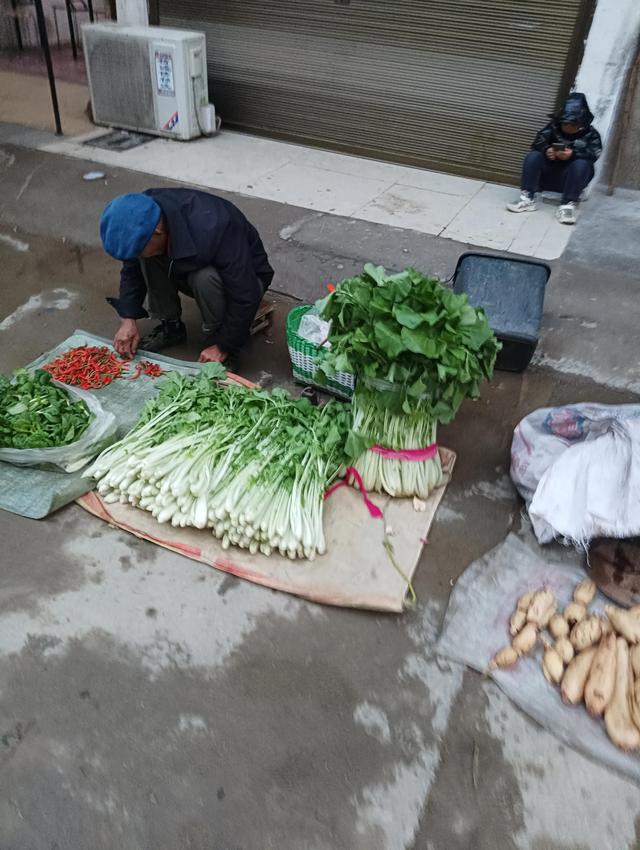 依旧的近义词，依旧的近义词是什么