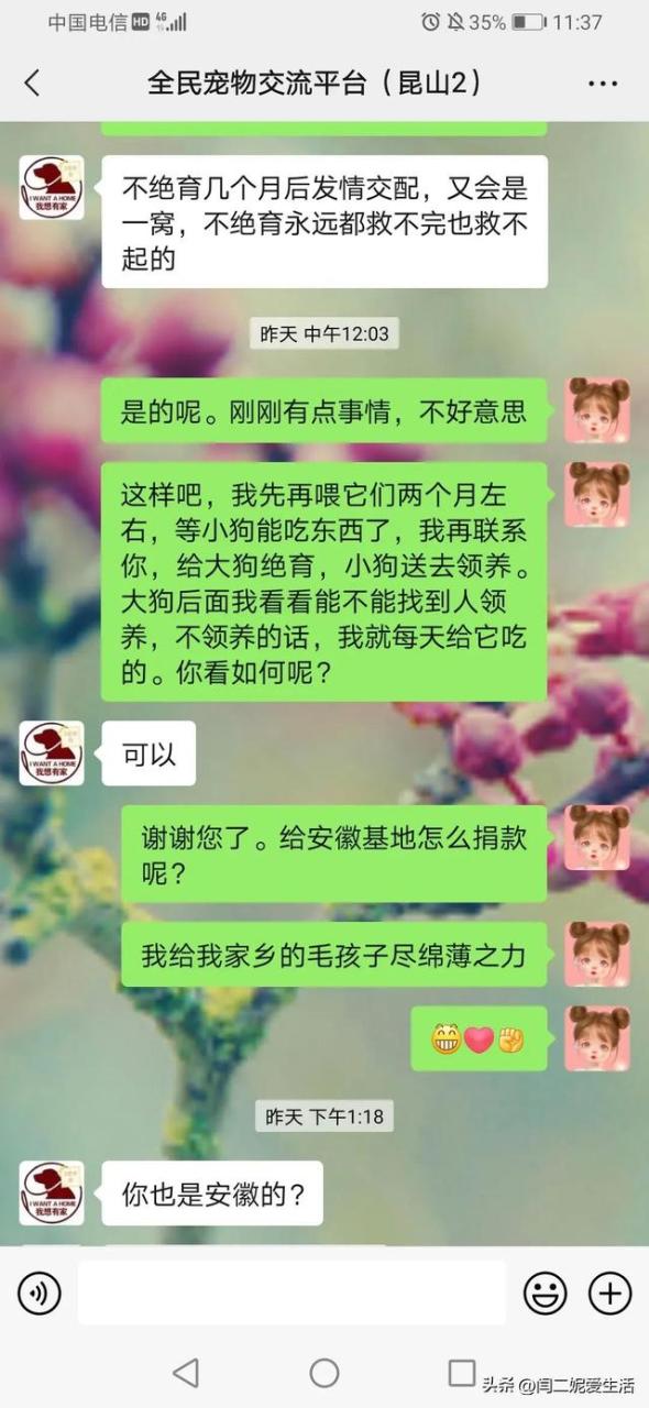 八上优秀作文600字，生日惊喜作文600字初中