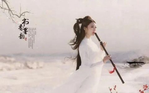 一帘幽梦简谱完整版，一帘幽梦简谱
