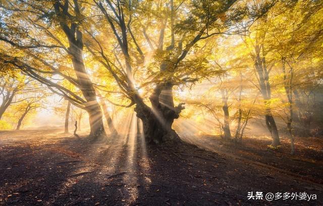 这片土地是神圣的原文，这片土地是神圣的原文英文