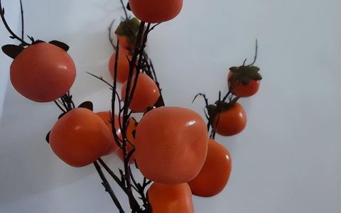 一句话表达结婚纪念日以后会更好，一句话简单普通表达结婚纪念日