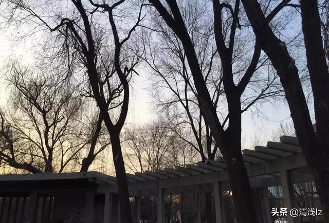 一棵树五个杈,不长叶子不开花，一棵树五只杈不长叶子不开花要吃要穿全靠它谜底