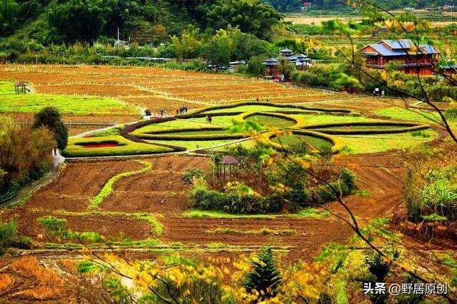 心情散文随笔人生感悟,心情散文随笔心情