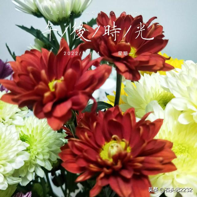 充实的一天英文，充实又忙碌一天的正能量句子