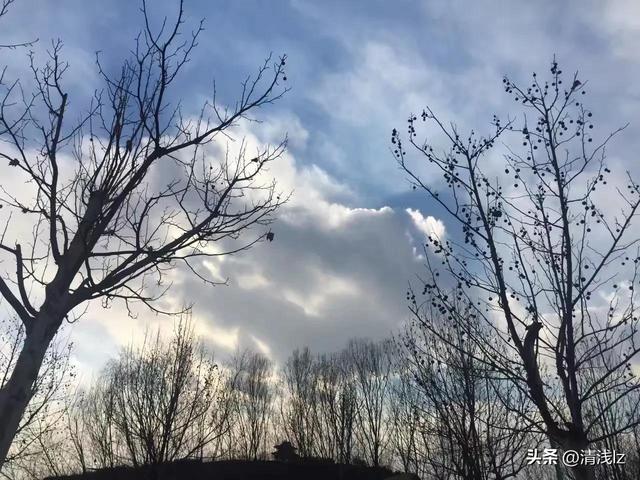 一棵树五个杈,不长叶子不开花，一棵树五只杈不长叶子不开花要吃要穿全靠它谜底