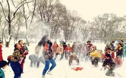 雪的散文诗，描写雪的散文诗