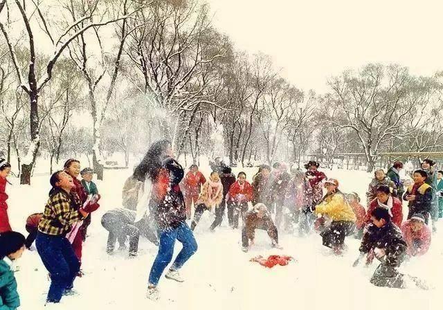 雪的散文诗，描写雪的散文诗