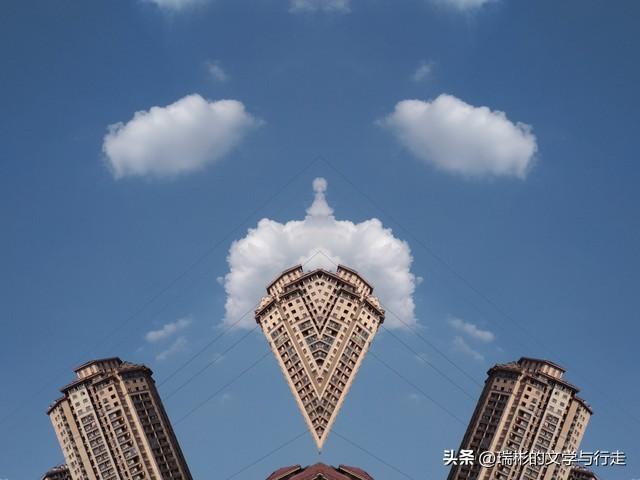 月光公主的故事读后感20字，月光公主的故事读后感怎么写