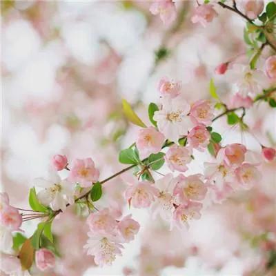 有你真好作文300字六年级，妈妈有你真好作文300字六年级
