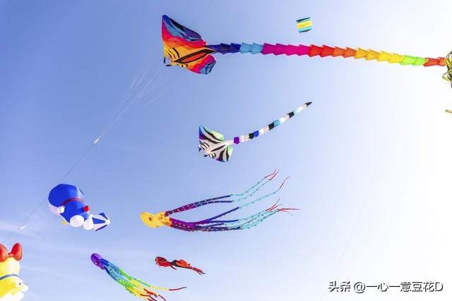 展翅凌空是指哪一个人，展翅凌空的人名是什么