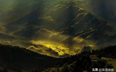 展翅凌空是谁的哪一个名人，展翅凌空是哪个著名人物
