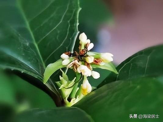 悠然的近义词，悠然的近义词是什么词
