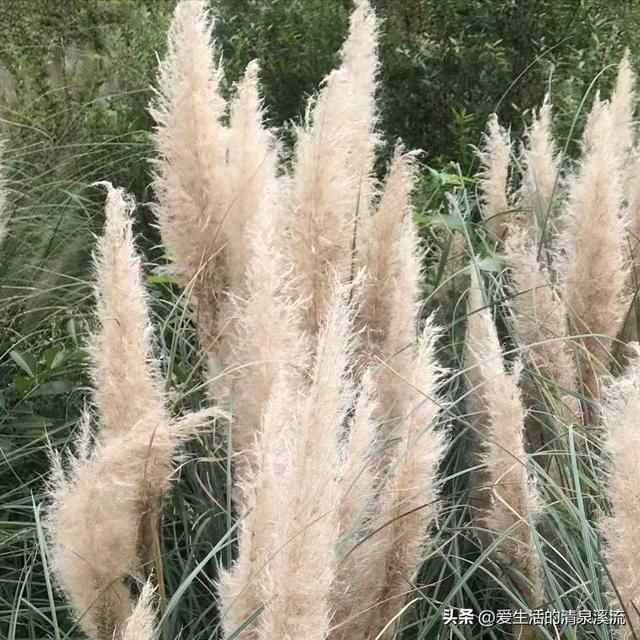 中学生时代杂志订阅，《中学生时代》杂志