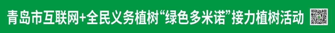照片里的温暖作文300字左右，照片里的温暖作文300字三年级