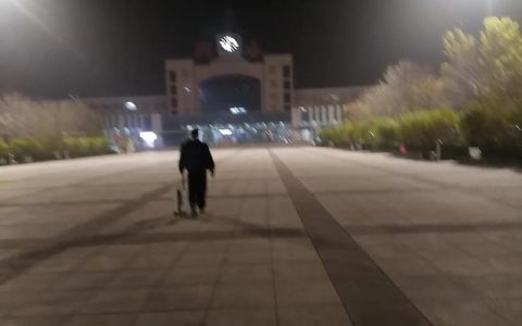 展翅凌空下一句是什么，展翅凌空的名著人物是谁