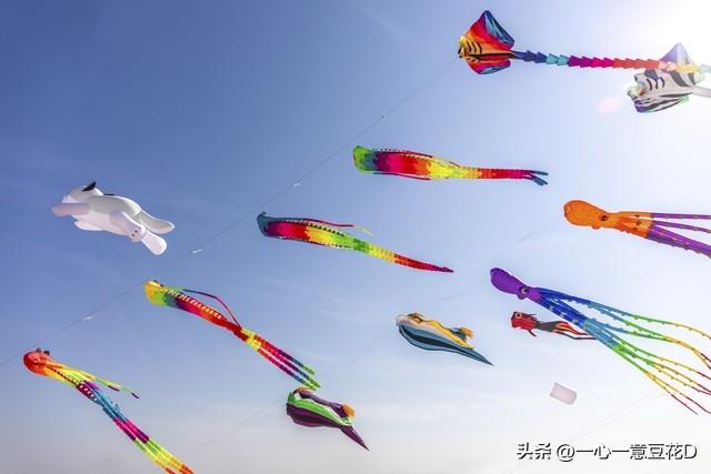 展翅凌空是指哪一个人，展翅凌空的人名是什么