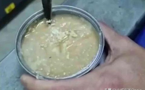 鱼罐头吃了对身体有害吗女生，鱼罐头吃了对身体有害吗女性