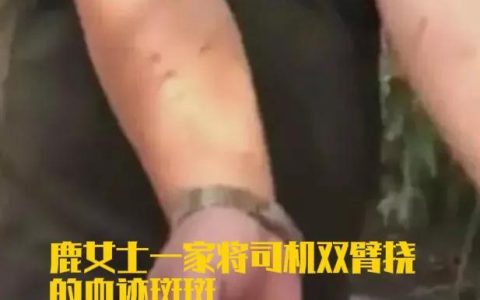 朱师傅饲料集团，预混料十大名牌排行
