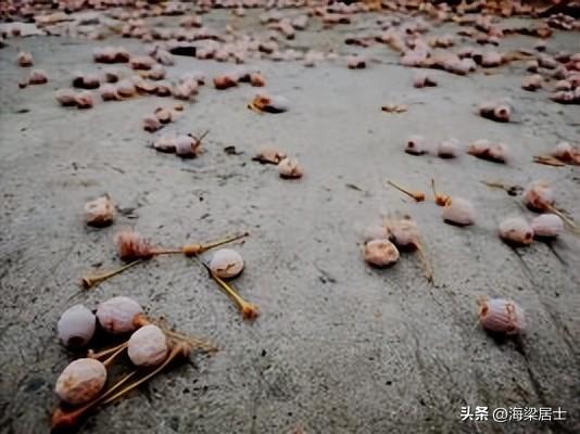 悠然的近义词，悠然的近义词是什么词