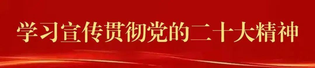 双报到双服务，服务双报到？
